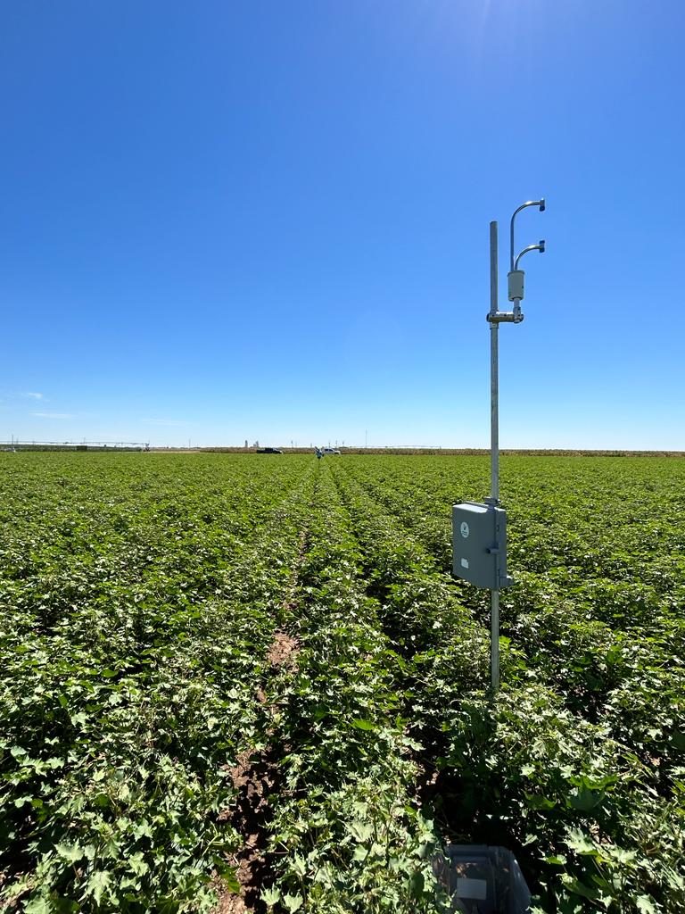 Cotton Actual ET - Bushland, TX